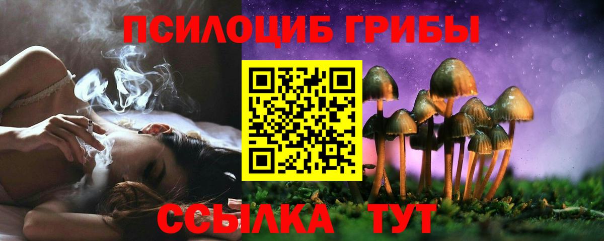 Псилоцибиновые грибы мухоморы Бугуруслан